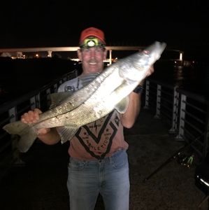 Meet your Posher, Wayne